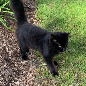 Meet your Posher, May